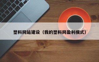 海口塑料网站建设（我的塑料网盈利模式）