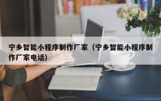 海口宁乡智能小程序制作厂家（宁乡智能小程序制作厂家电话）