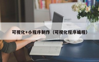 海口可视化+小程序制作（可视化程序编程）